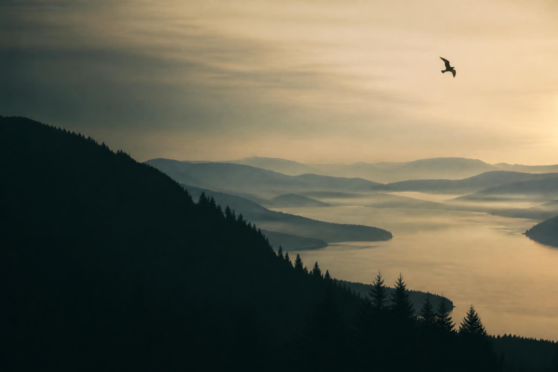 A wide valley at first light, with layered ridgelines, calm water, and a single swallow in flight